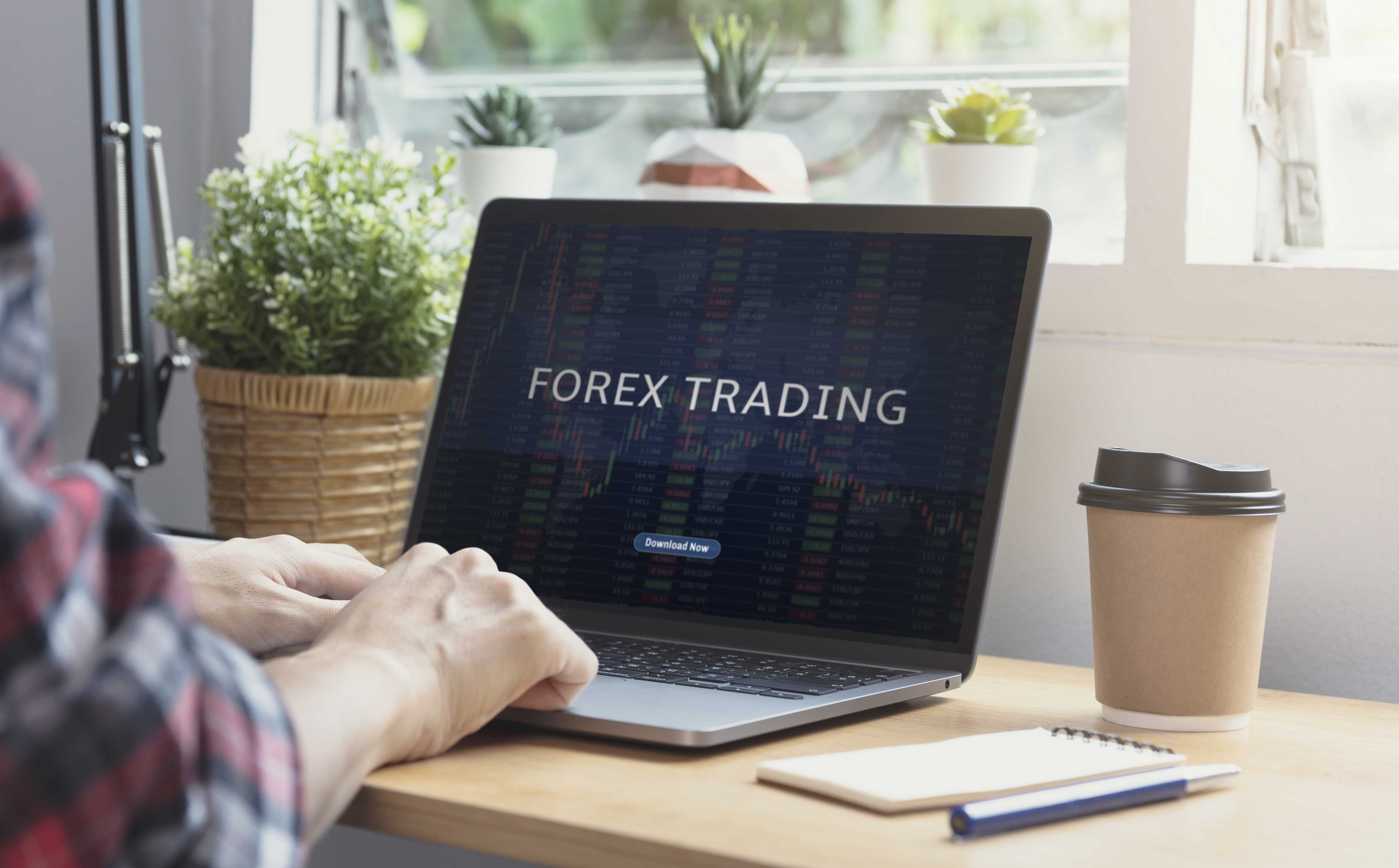 Pemula harus tahu sebelum invetasi di forex
